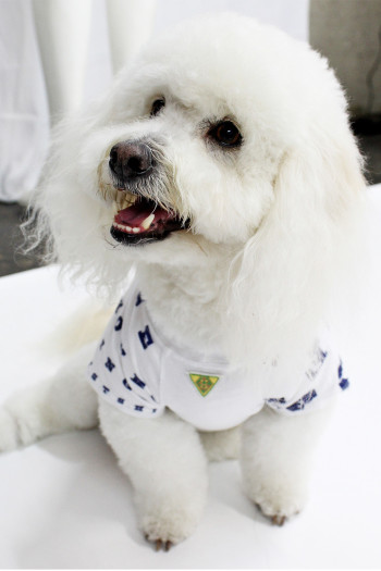 ALPHABET DOGGY TEE